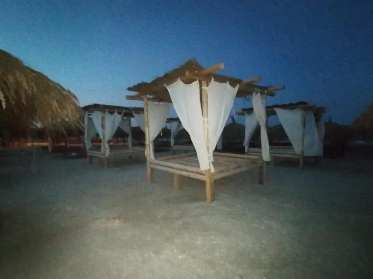 Апартаменты Garsoniera Papaya Beach Нэводари Экстерьер фото
